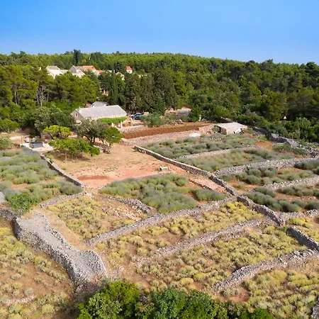 Feriehus Humac Hvar