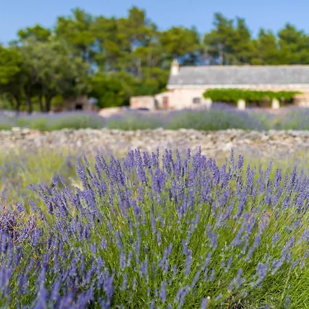 Humac Hvar Feriehus