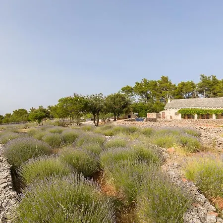 Humac Hvar