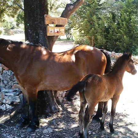 Humac Hvar